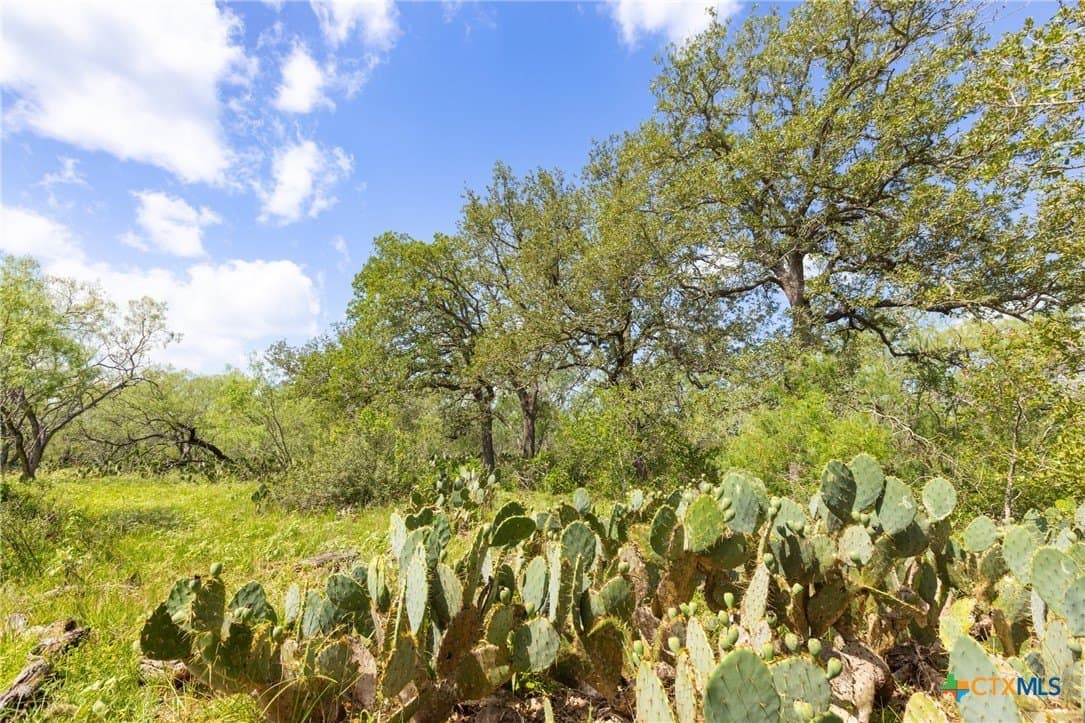 259 acres in Gonzales County - photo 11