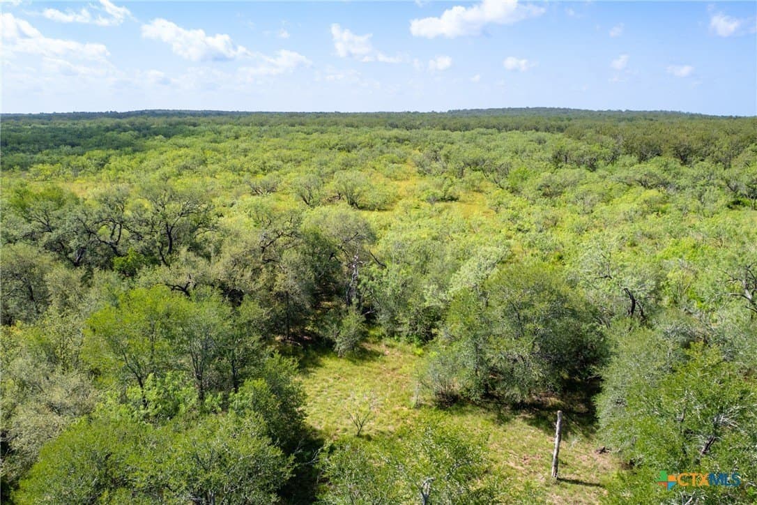 259 acres in Gonzales County - photo 45