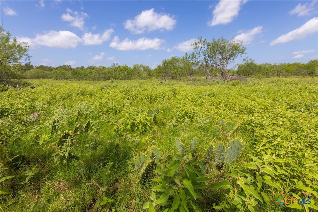 259 acres in Gonzales County - photo 32