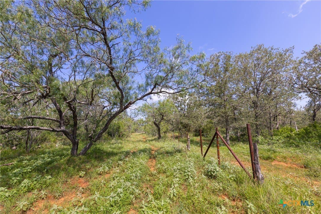 259 acres in Gonzales County - photo 7