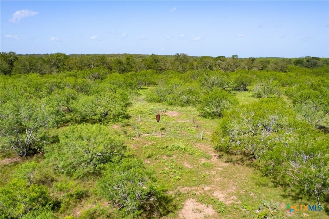 259 acres in Gonzales County - photo 48