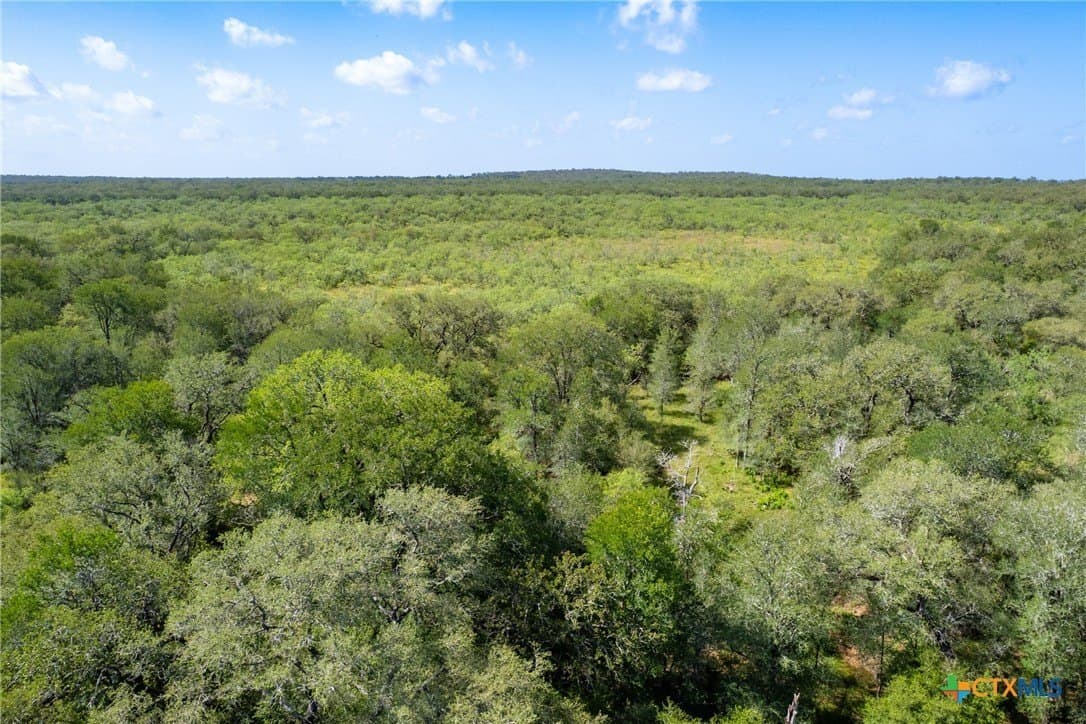 259 acres in Gonzales County - photo 43