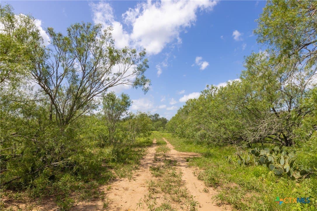 259 acres in Gonzales County - photo 33