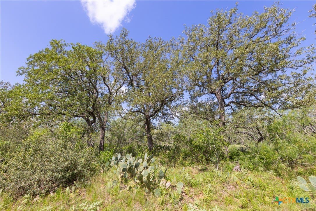 259 acres in Gonzales County - photo 10