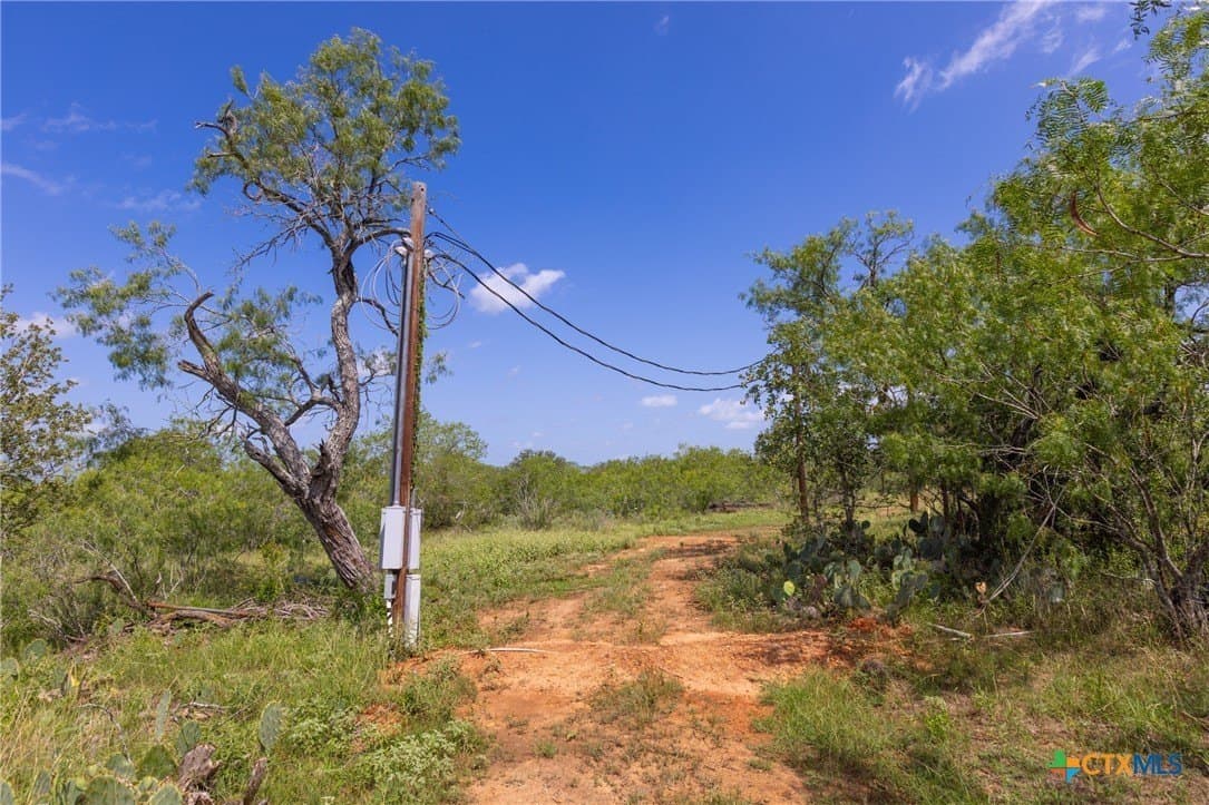 259 acres in Gonzales County - photo 21