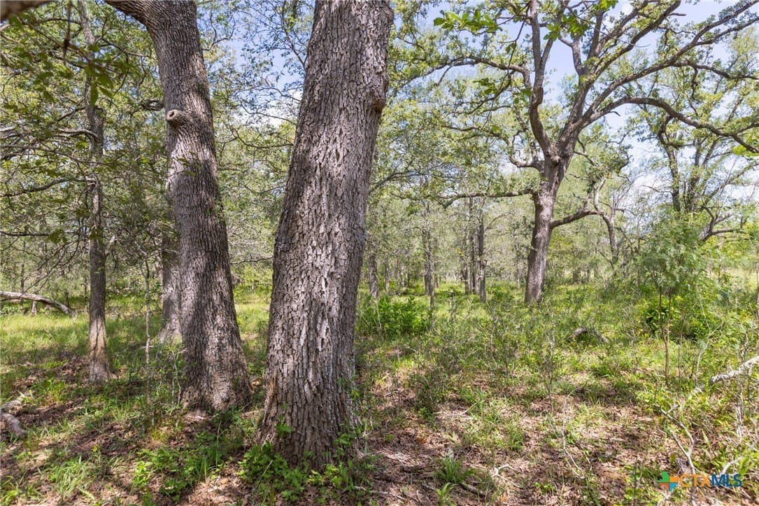 259 acres in Gonzales County - photo 36