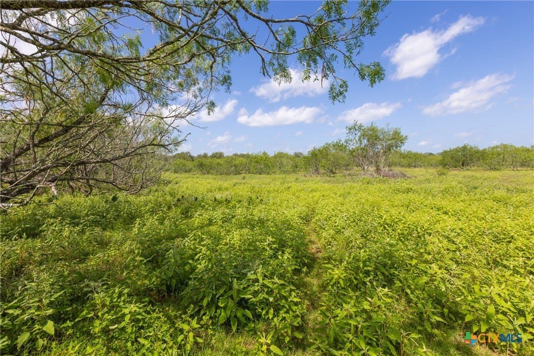 259 acres in Gonzales County - photo 31