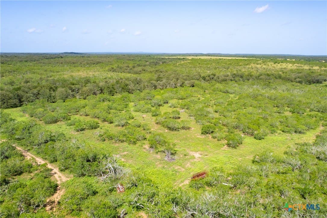 259 acres in Gonzales County - photo 47