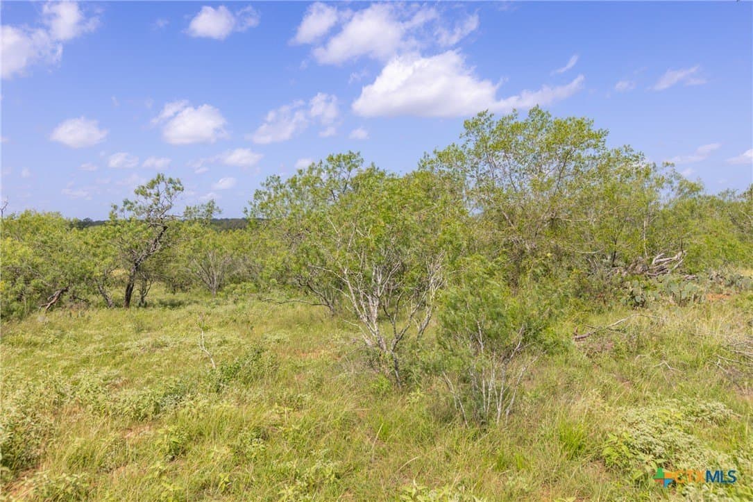 259 acres in Gonzales County - photo 22
