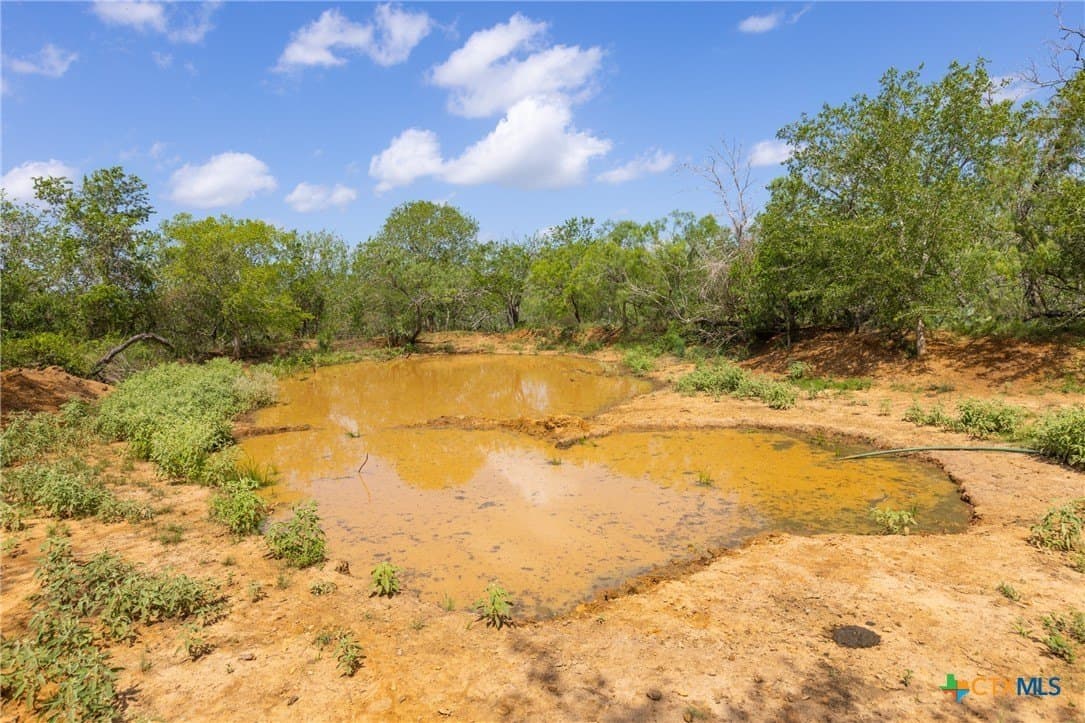 259 acres in Gonzales County - photo 25