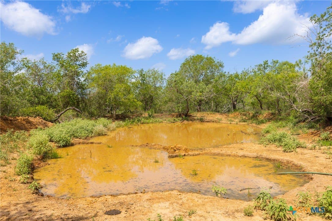 259 acres in Gonzales County - photo 24