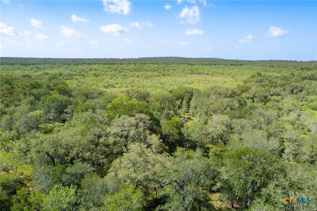 259 acres in Gonzales County - photo 41