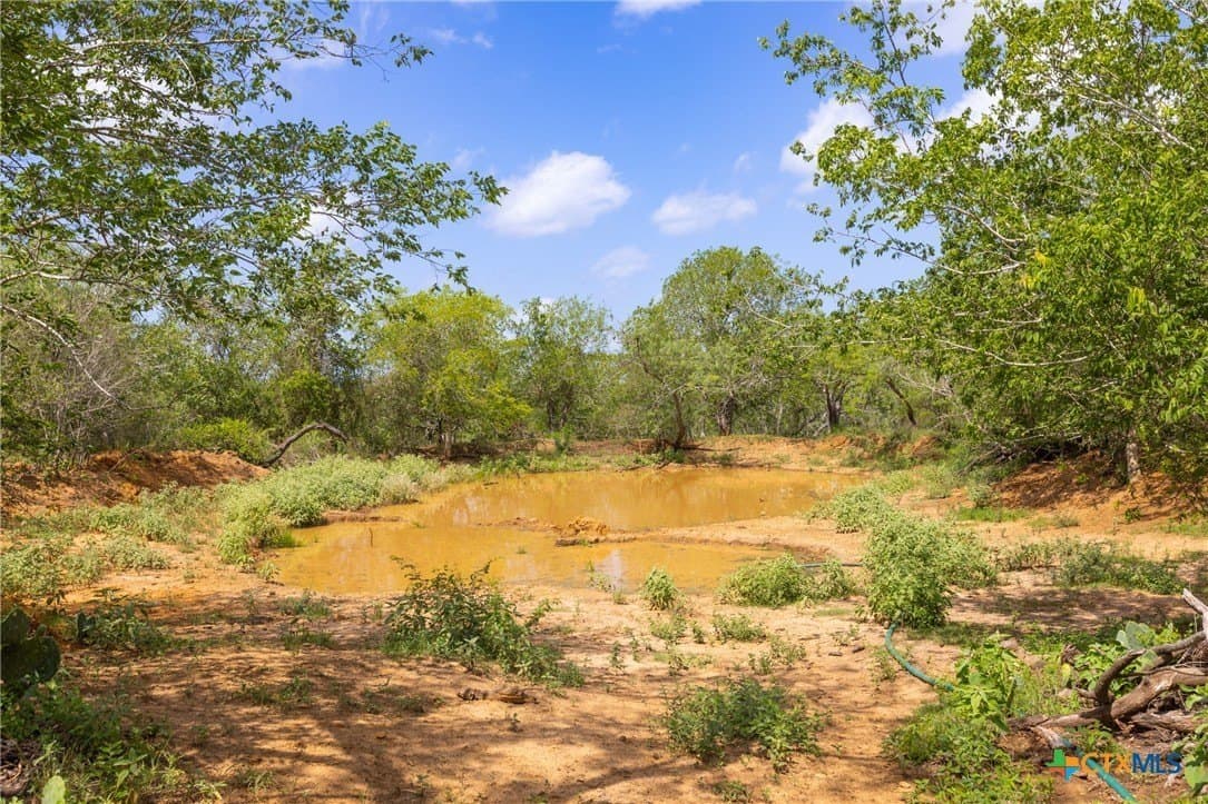 259 acres in Gonzales County - photo 23