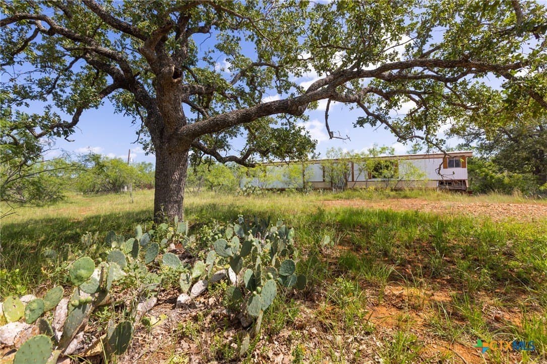 259 acres in Gonzales County - photo 17