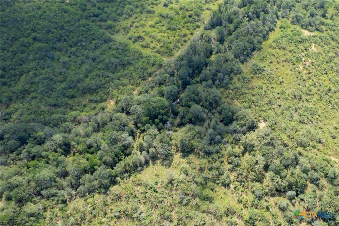 259 acres in Gonzales County - photo 46