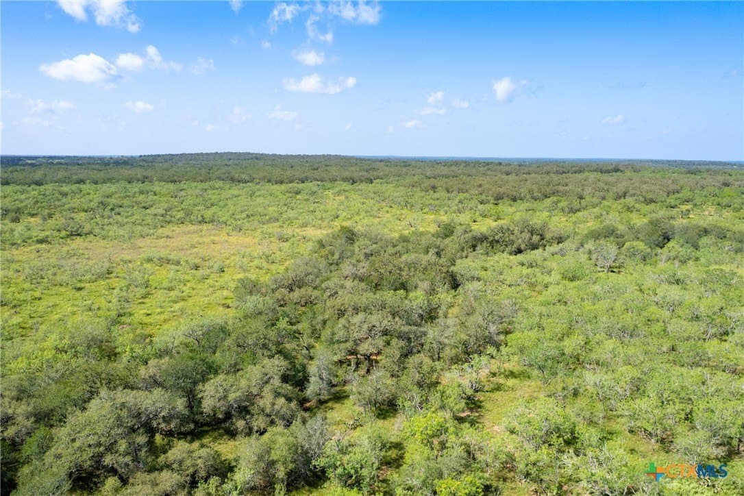 259 acres in Gonzales County - photo 44