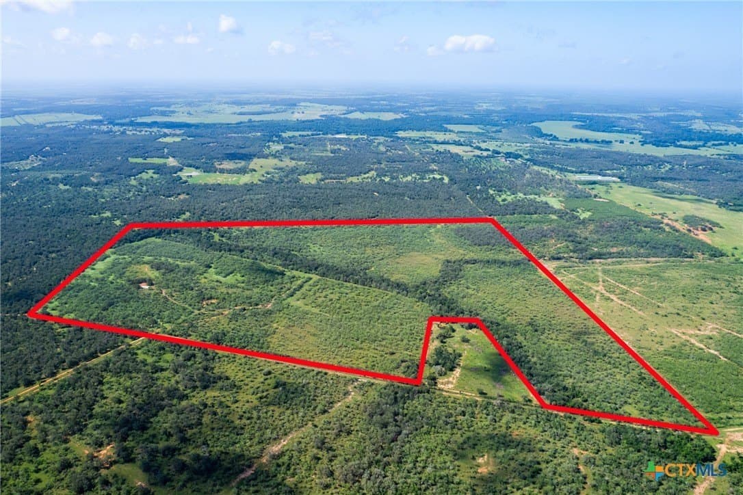 259 acres in Gonzales County - photo 3