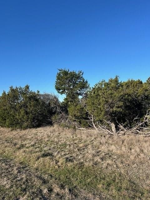 1.99 acres in Johnson County - photo 3