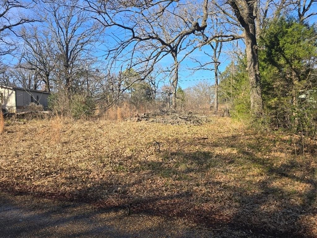 0.35 acres in Henderson County - photo 5