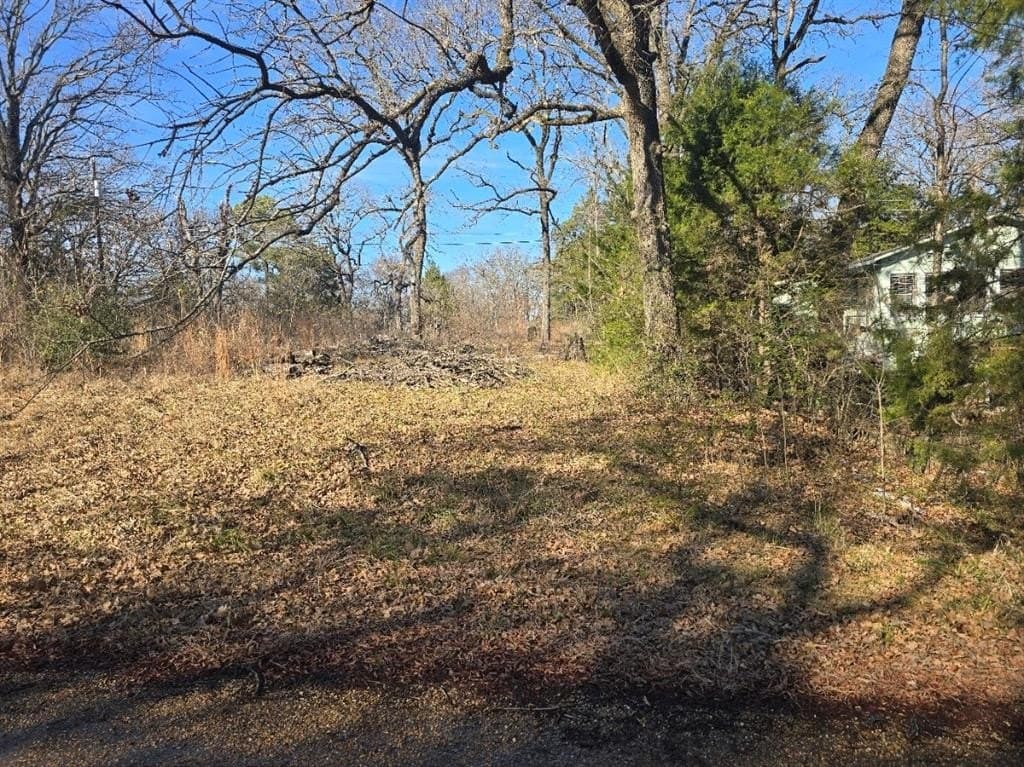0.35 acres in Henderson County - photo 6