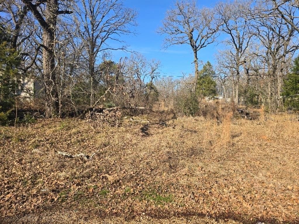 0.35 acres in Henderson County - photo 7