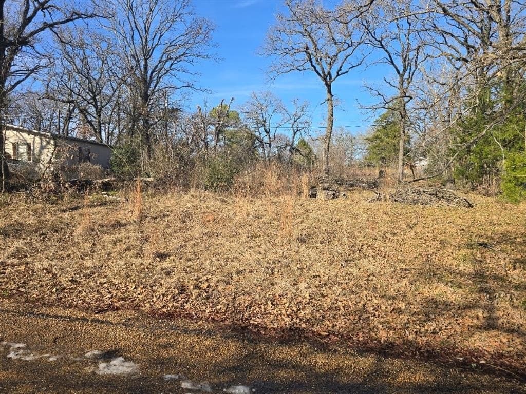 0.35 acres in Henderson County - photo 4