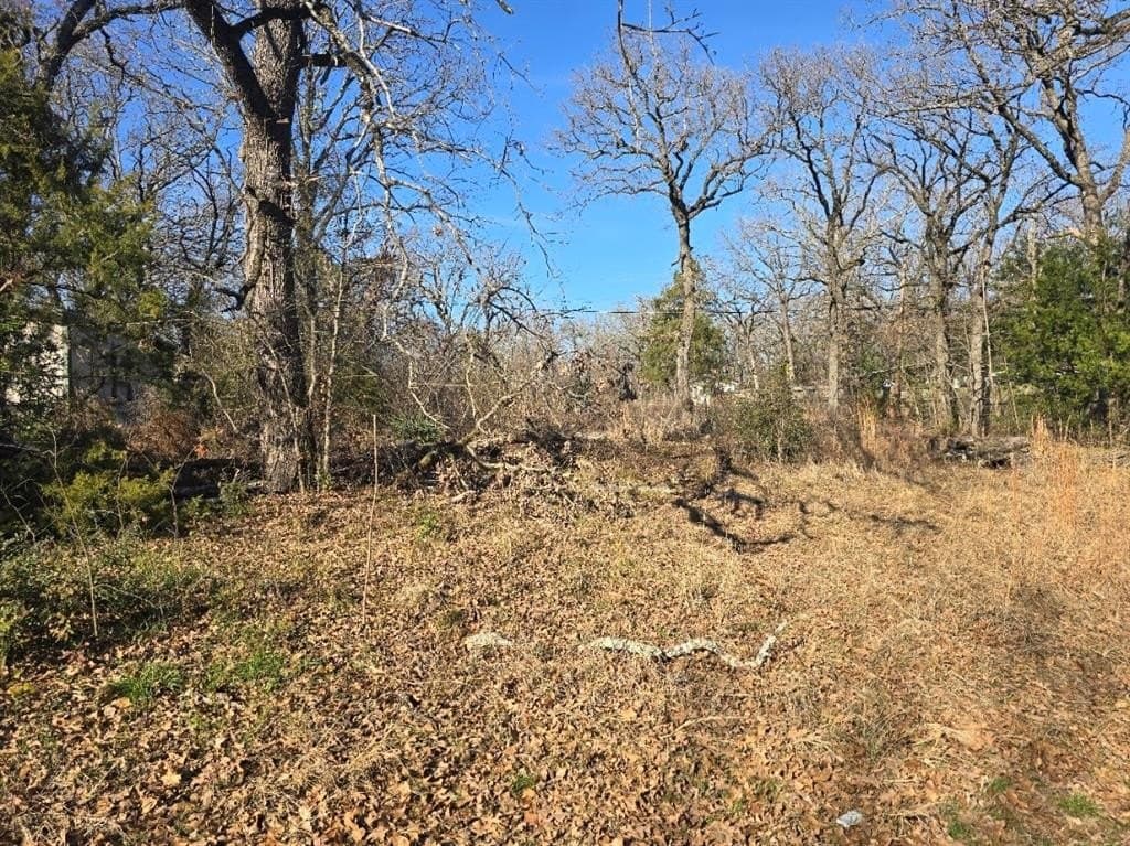0.35 acres in Henderson County - photo 2