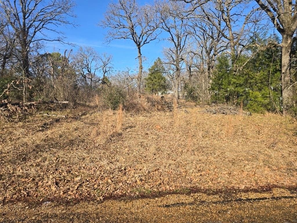 0.35 acres in Henderson County - photo 3