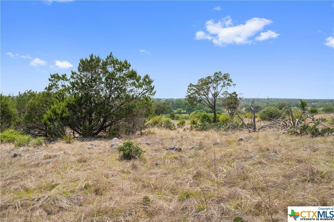 9.42 acres in Blanco County - photo 18