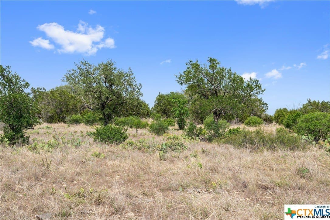 9.42 acres in Blanco County - photo 37