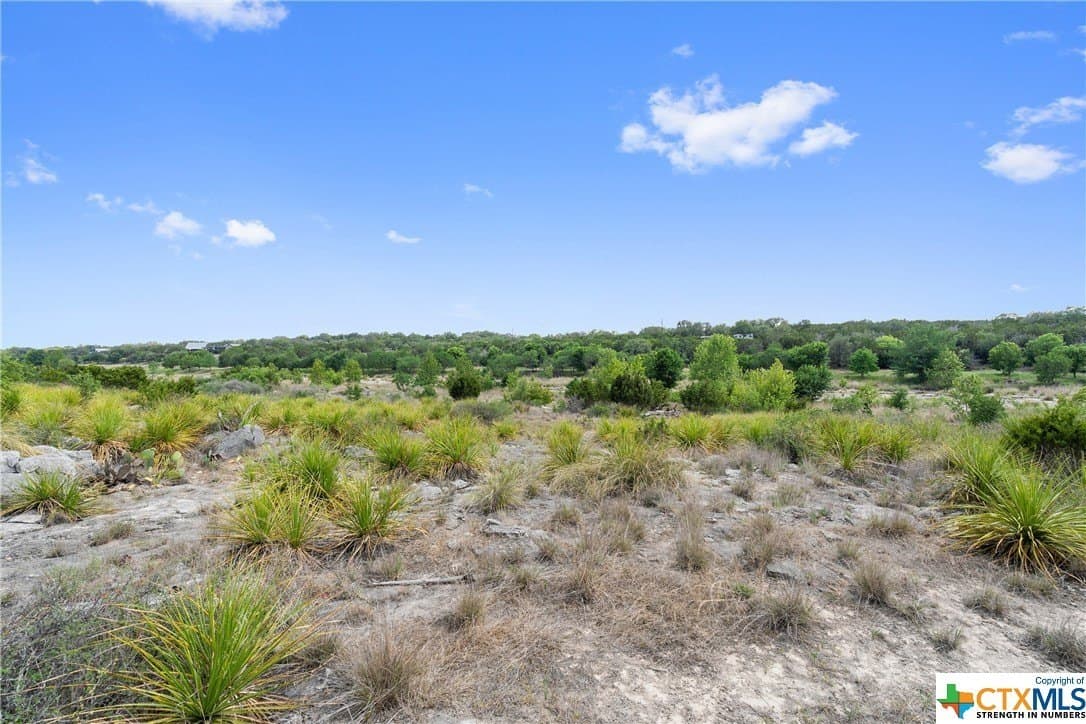 9.42 acres in Blanco County - photo 25