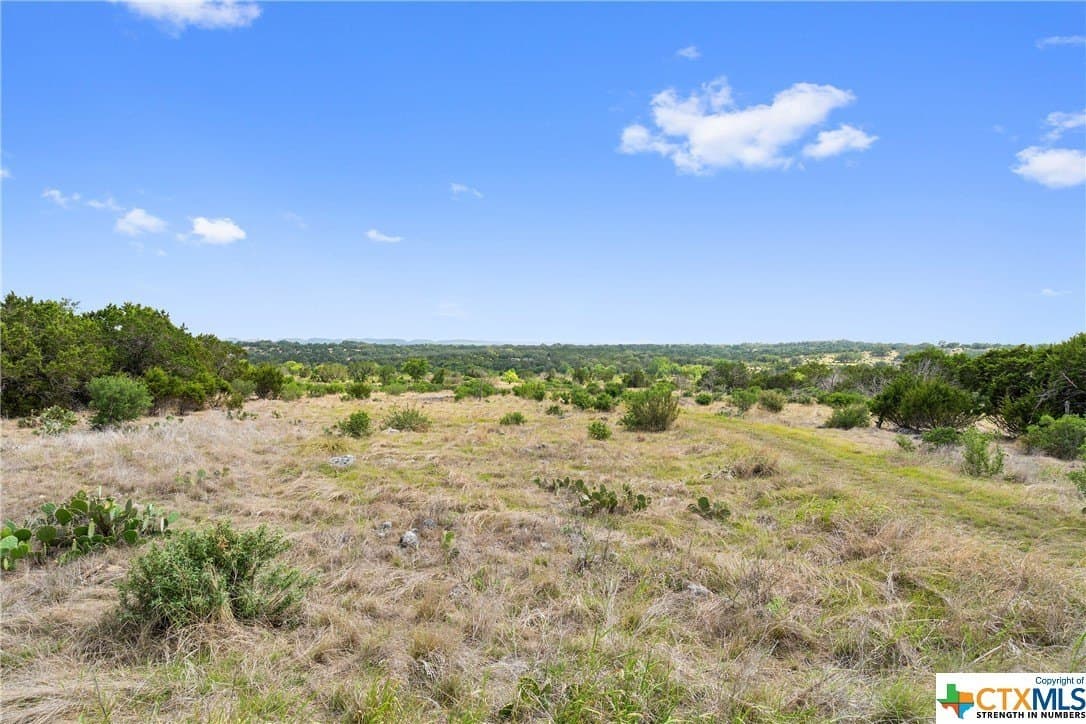 9.42 acres in Blanco County - photo 13