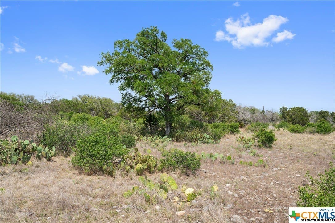 9.42 acres in Blanco County - photo 36
