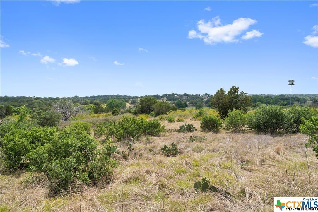 9.42 acres in Blanco County - photo 21