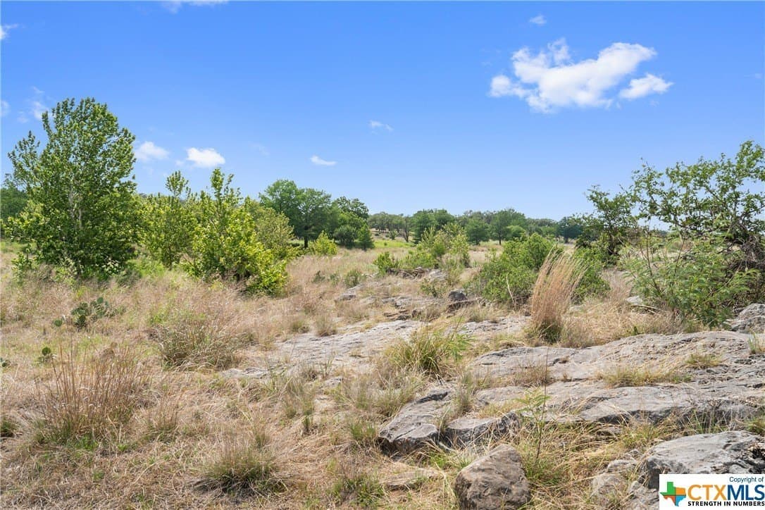9.42 acres in Blanco County - photo 27