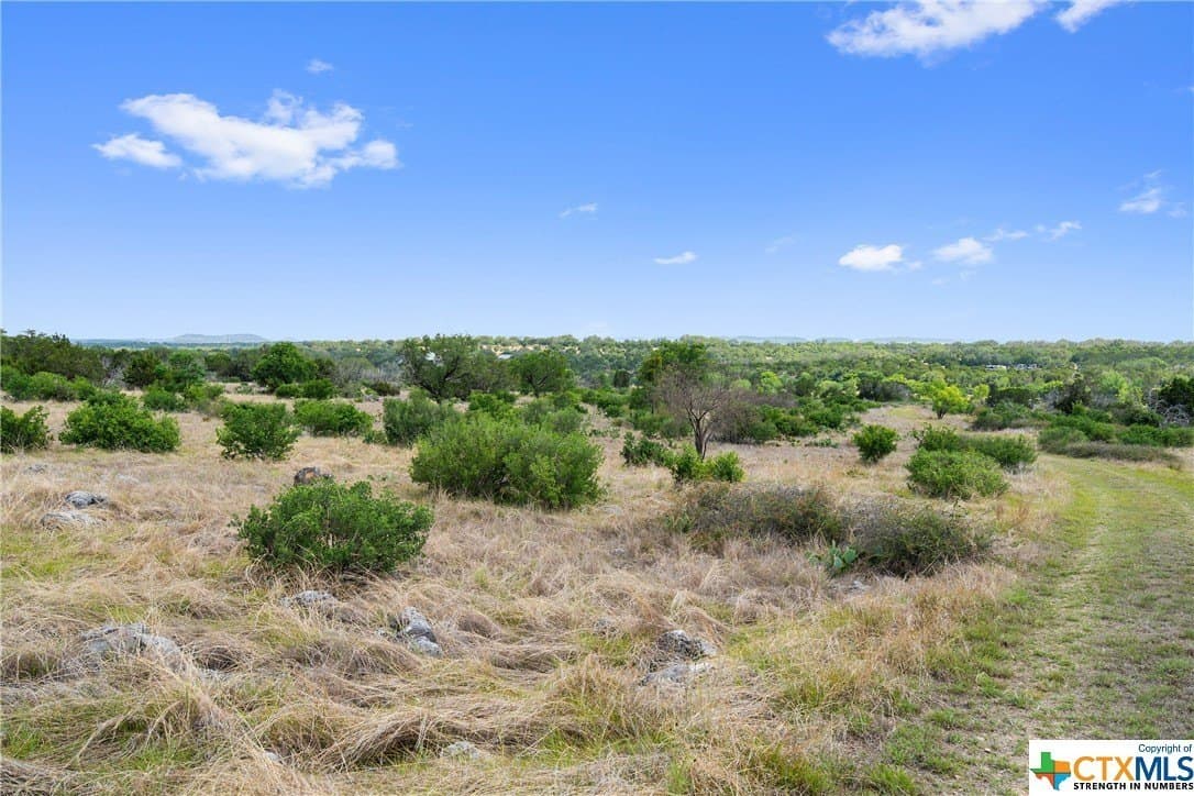 9.42 acres in Blanco County - photo 16