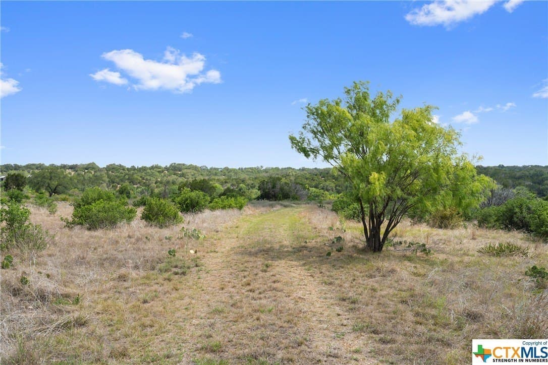 9.42 acres in Blanco County - photo 19