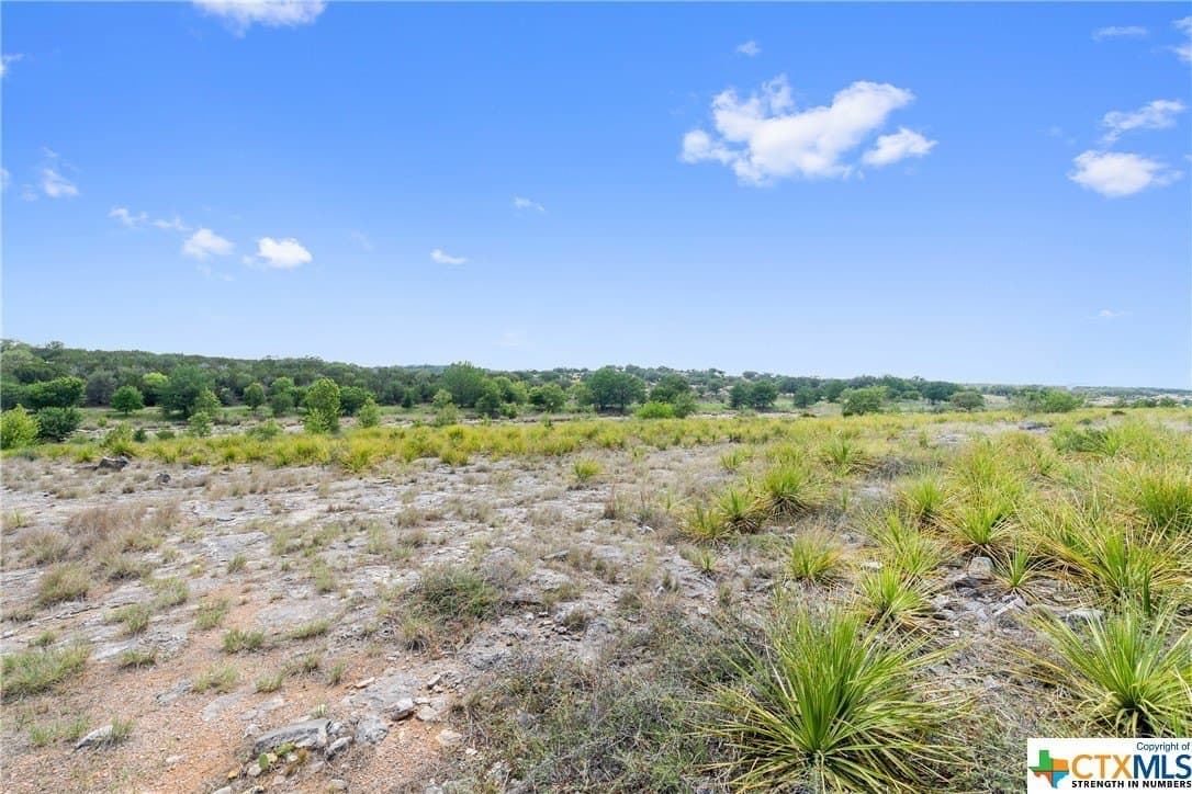 9.42 acres in Blanco County - photo 23