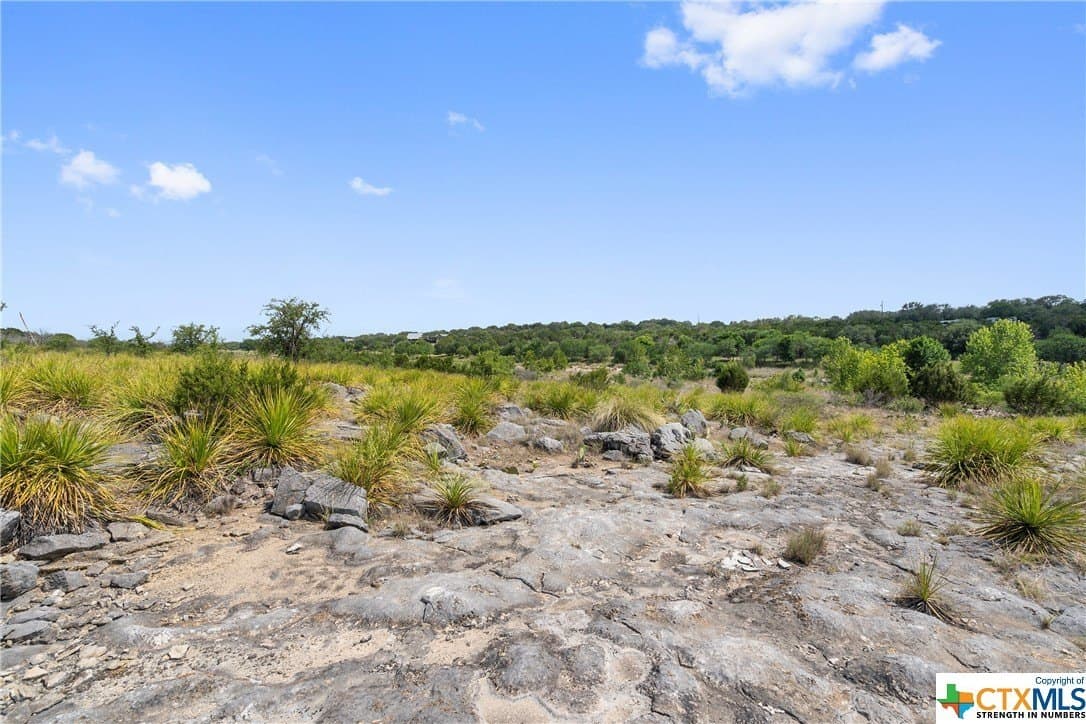 9.42 acres in Blanco County - photo 34