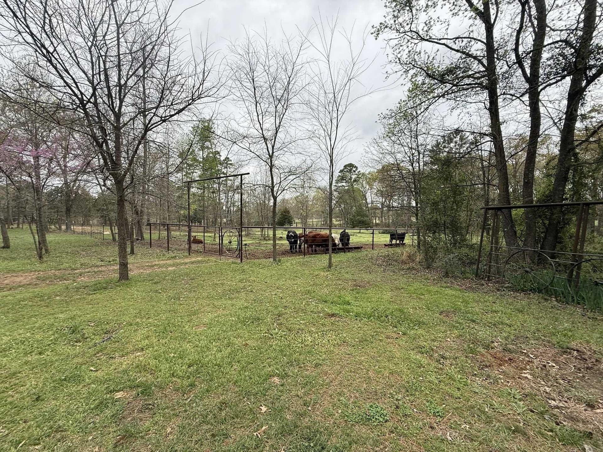 17 acres in Upshur County - photo 35