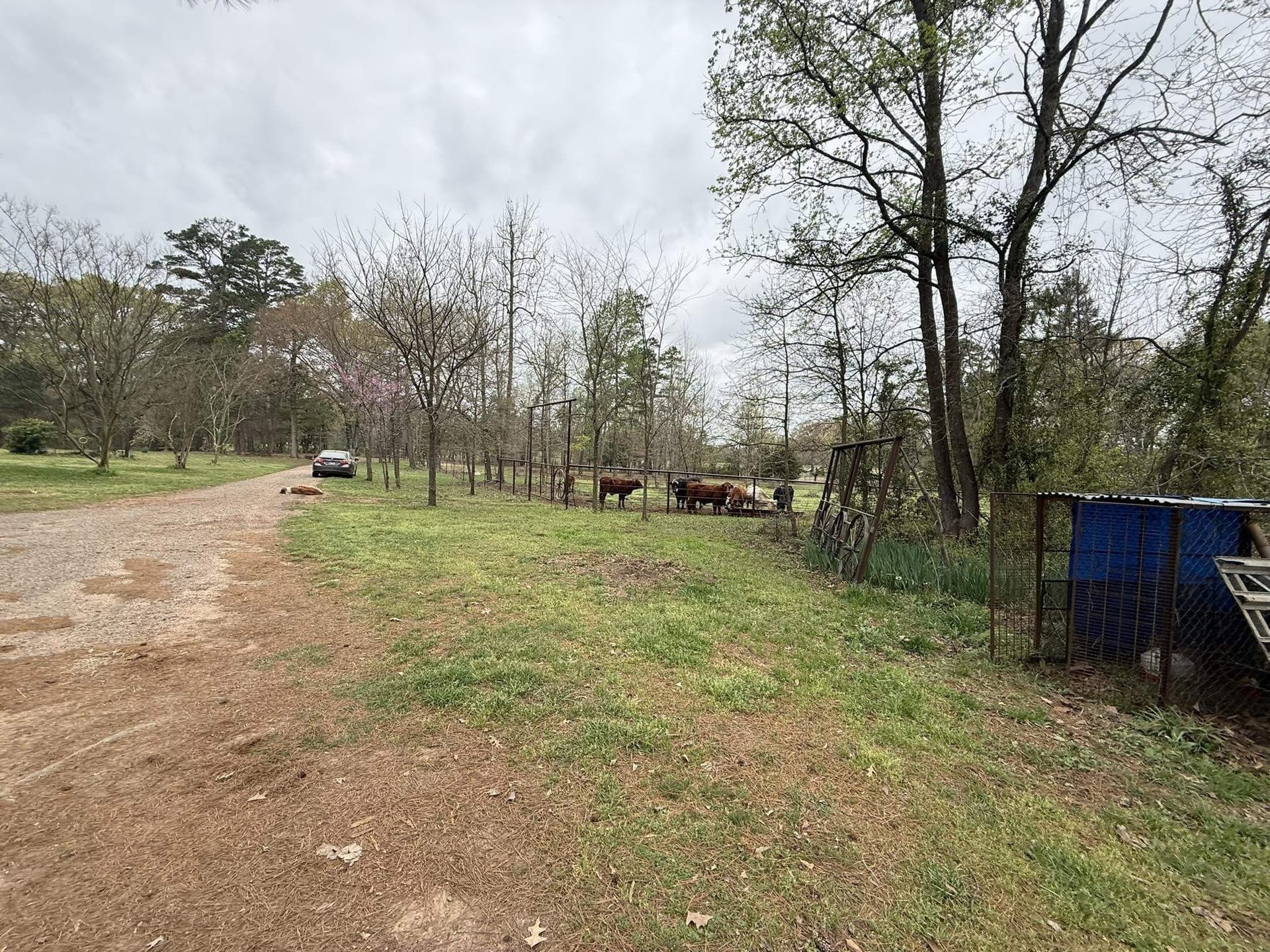 17 acres in Upshur County - photo 44