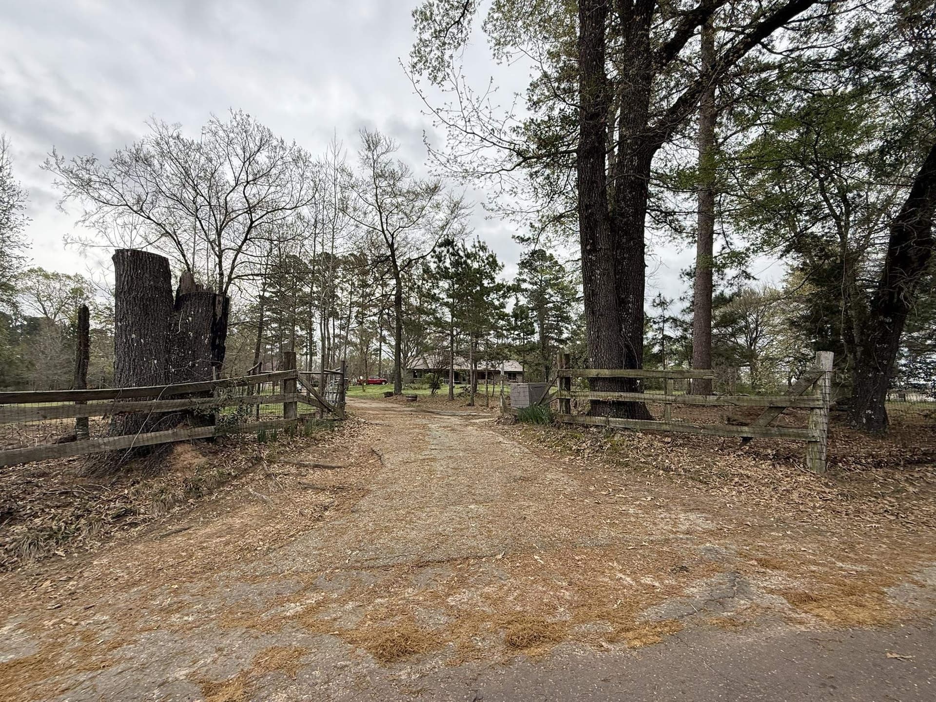 17 acres in Upshur County - photo 42