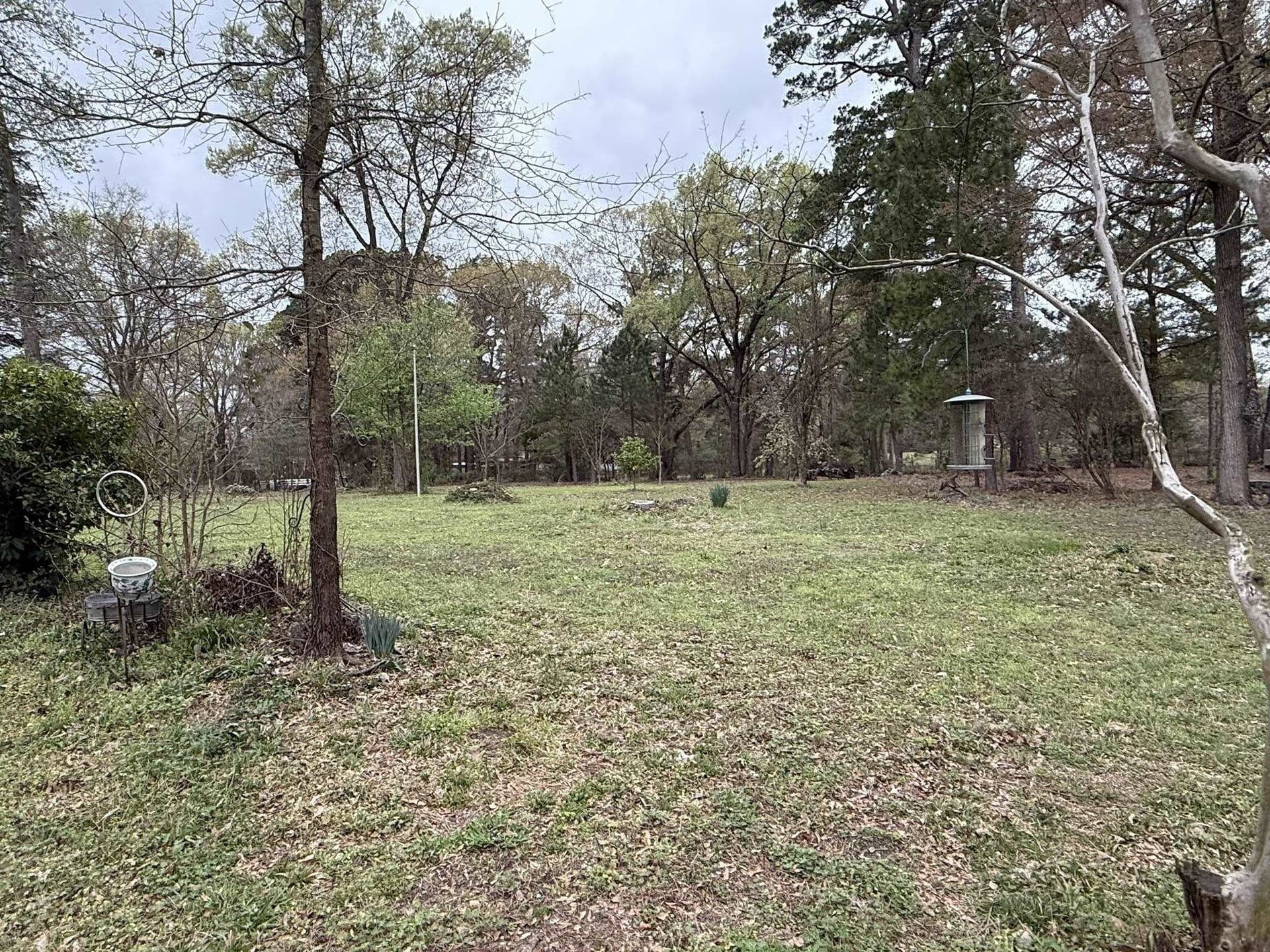 17 acres in Upshur County - photo 46