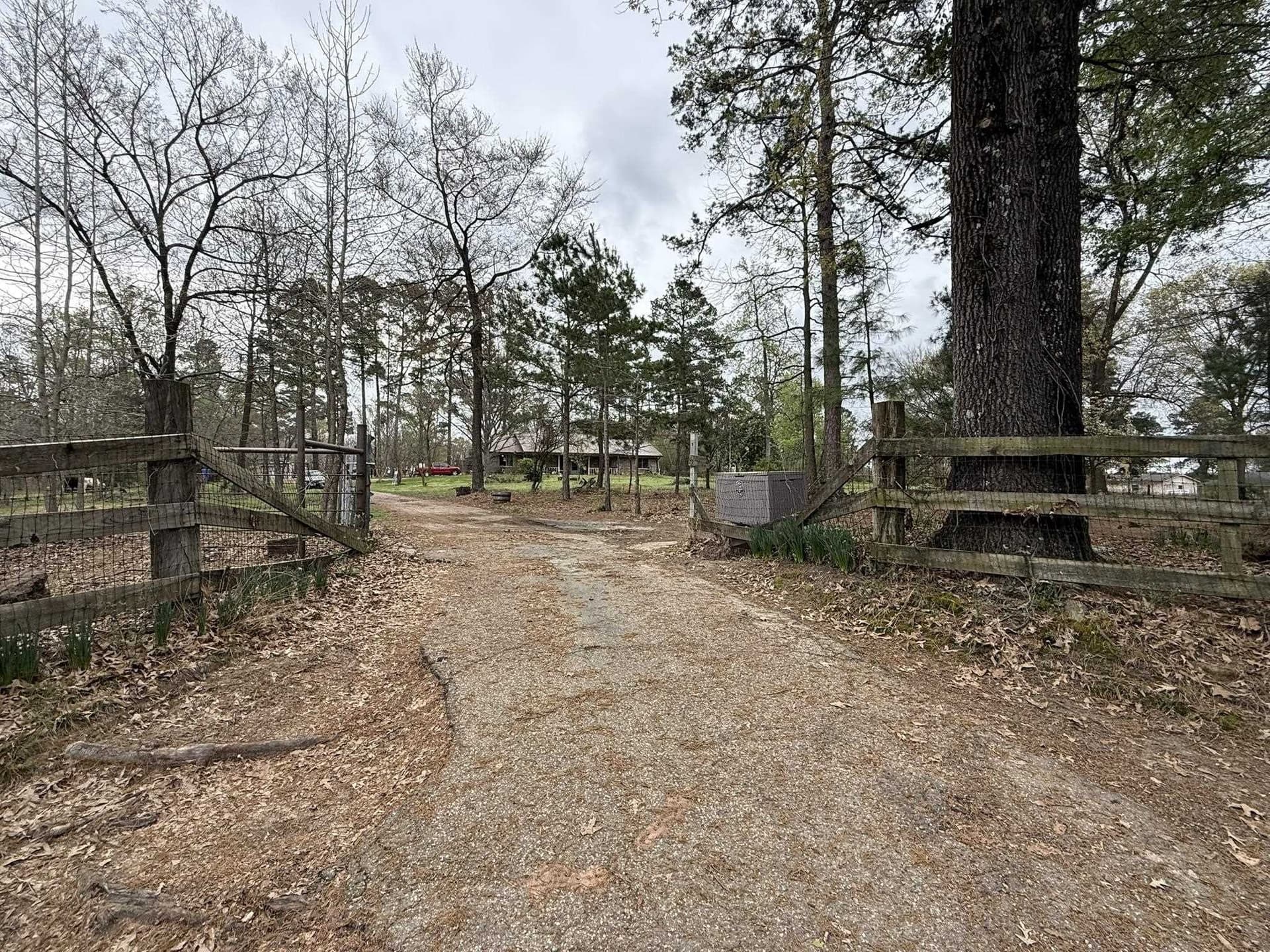 17 acres in Upshur County - photo 3