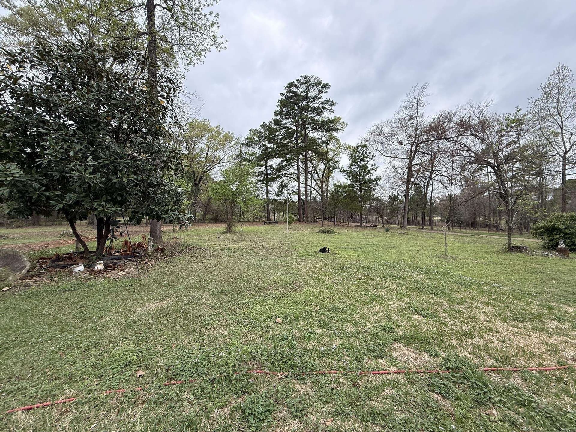 17 acres in Upshur County - photo 50