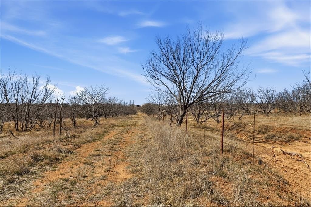 32.76 acres in Stephens County - photo 3