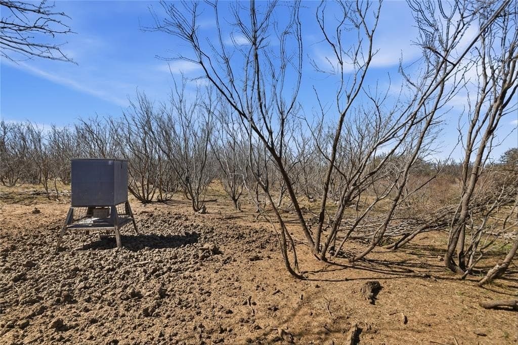 32.76 acres in Stephens County - photo 4