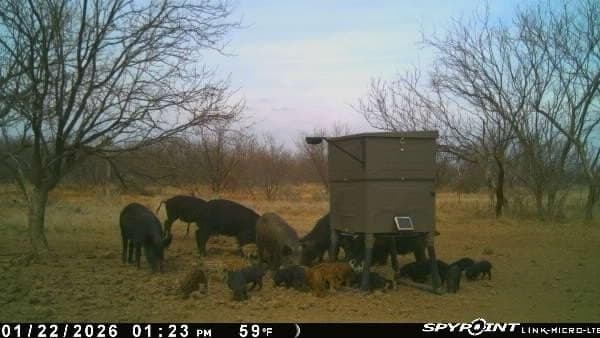 32.76 acres in Stephens County - photo 24