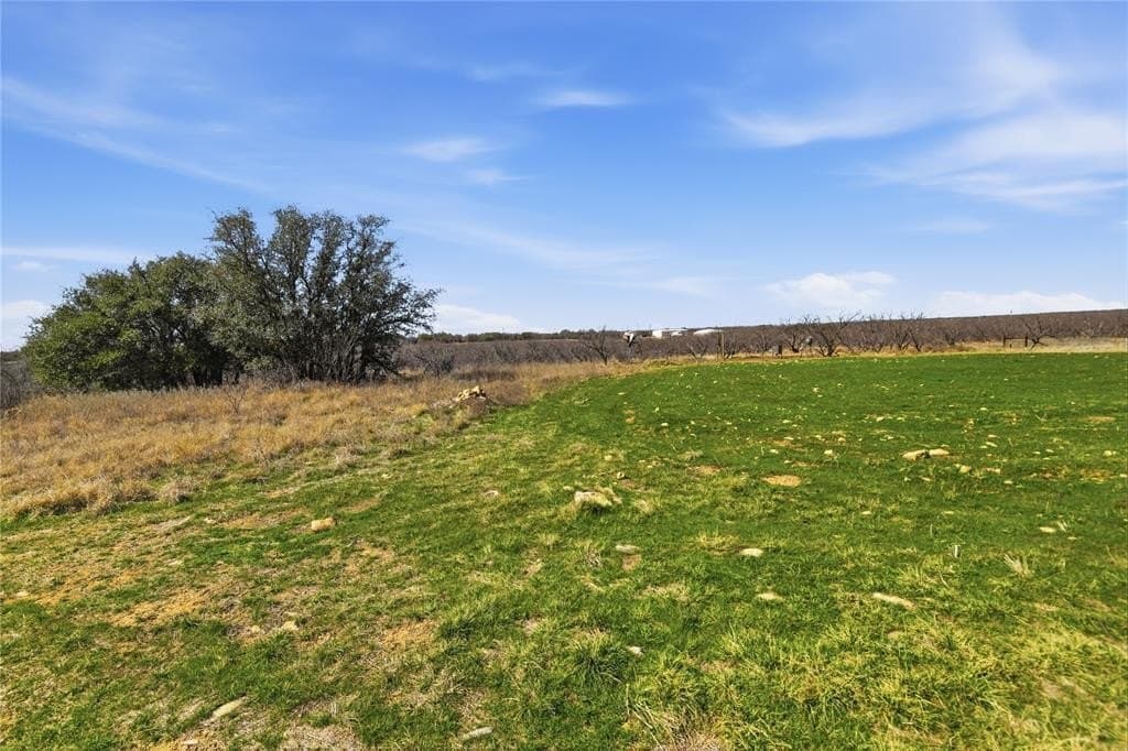 32.76 acres in Stephens County - photo 6
