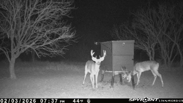 32.76 acres in Stephens County - photo 12